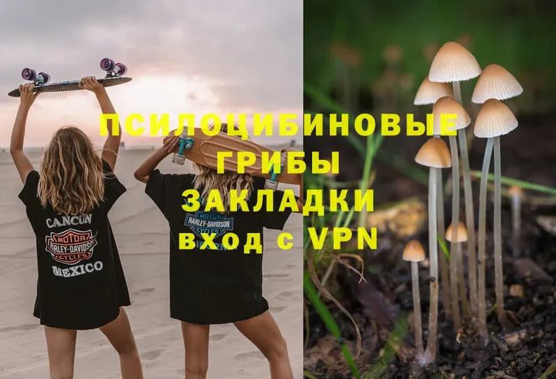 Псилоцибиновые грибы Magic Shrooms  Ковров 